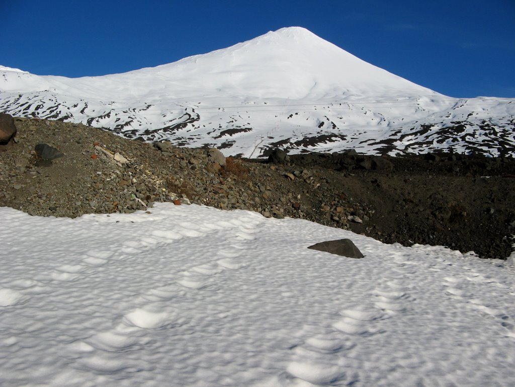 P.N. Laguna del Laja y V. Antuco - VII Región, Chile. by André Bonacin