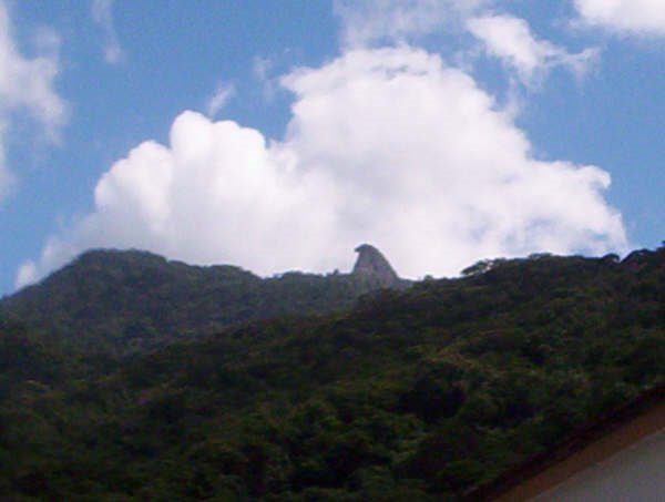 Vista da Pedra do Papagaio by Carlos Edward