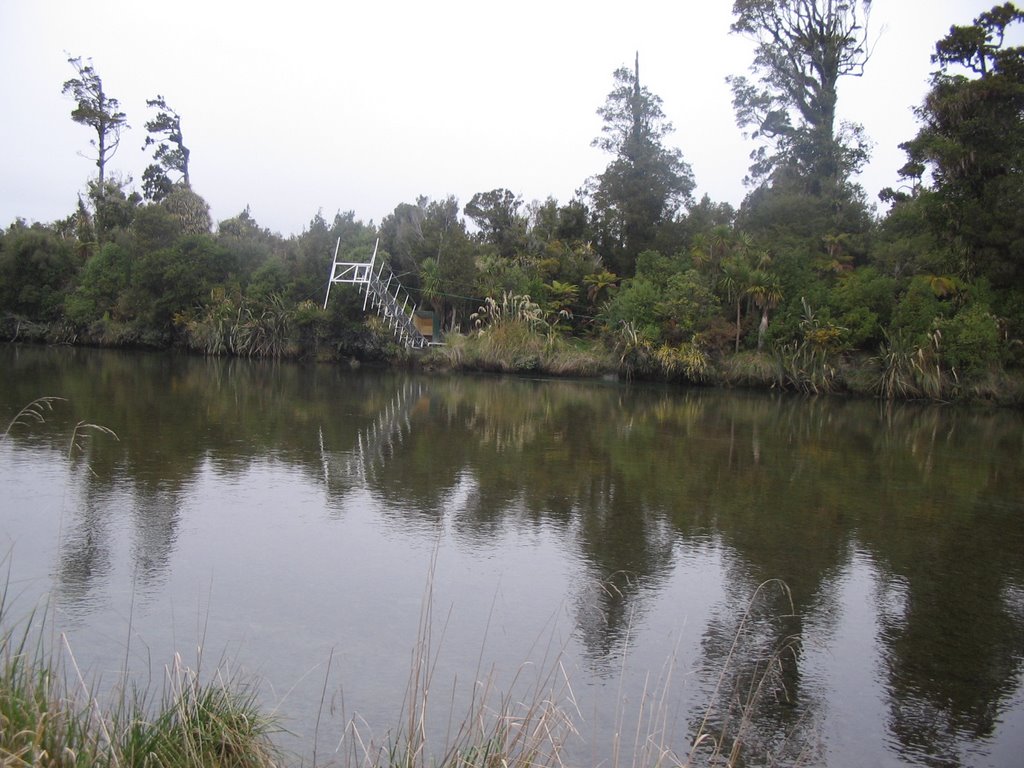 Whitebait Stand, Hari Hari by Steve Busson