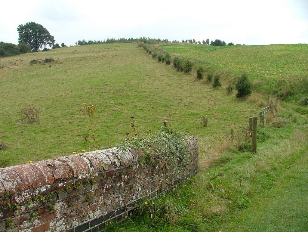 Near Kintbury by SBower