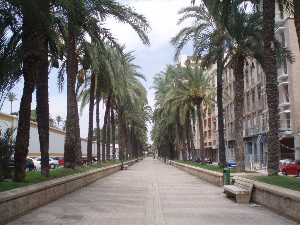 Calle Real by xabier3007