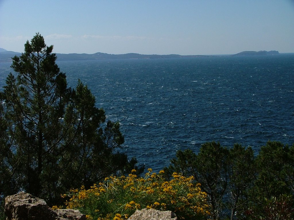 Cap Nonó by TeresaSamperio