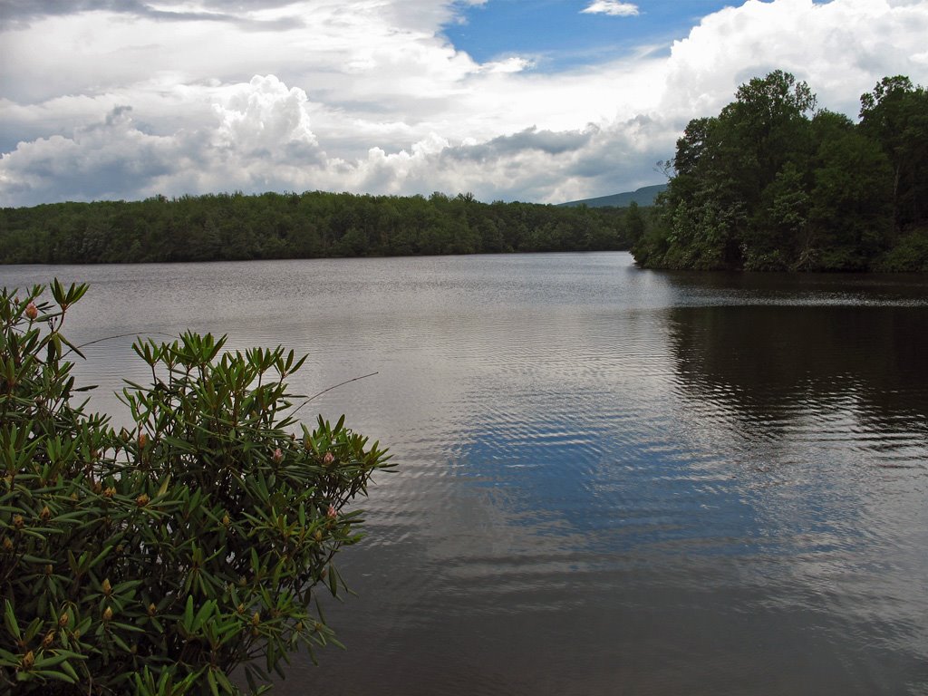 USA - NC - Blue Ridge Parkway - Julian Price Pond by ®mene