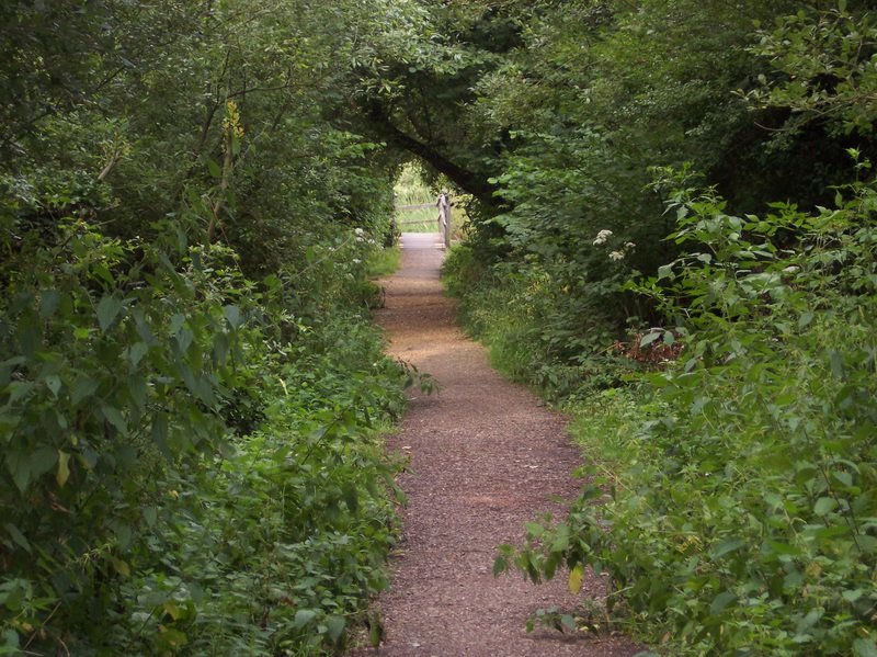 The Itchen footpath leads up towards the bridge by Robert'sGoogleEarthPictures