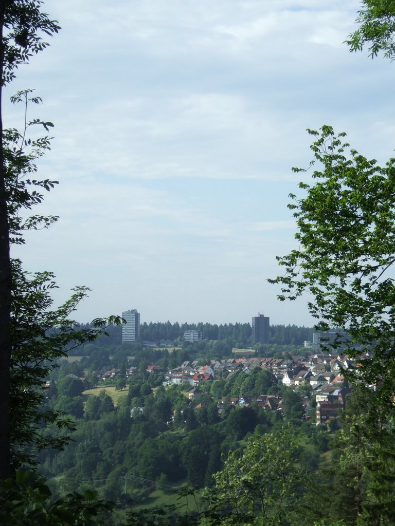 Freudenstadt, Blick von der Wilhelm-Bäßler-Brücke Richtung Nordstadt by RDZfds