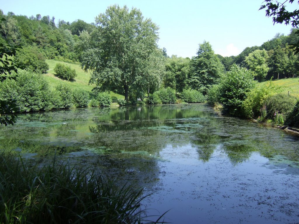 Baden-Baden, See im Rotenbachtal by RDZfds