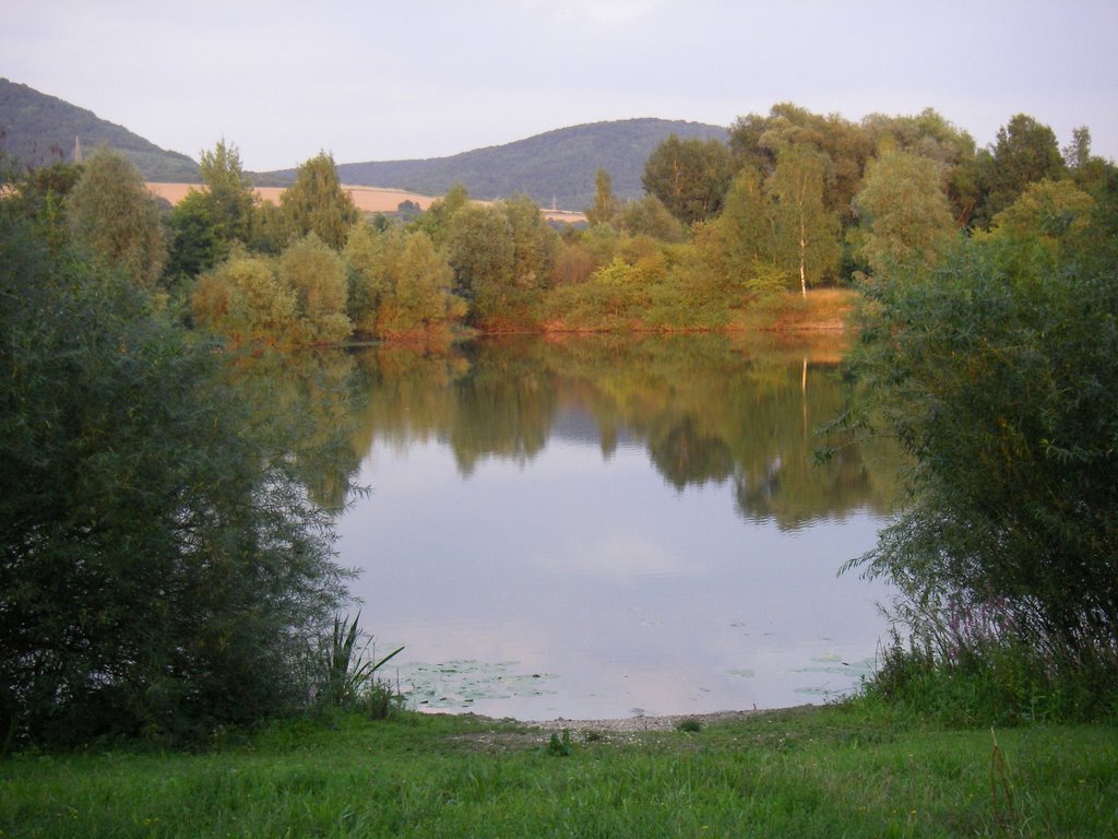 Angelteich bei Godenau - im Hintergrund der Himmelberg by stonehead60