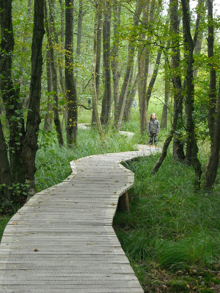 Plankier door het Rothenbachdal (met boskabouter) by Thei Moors|