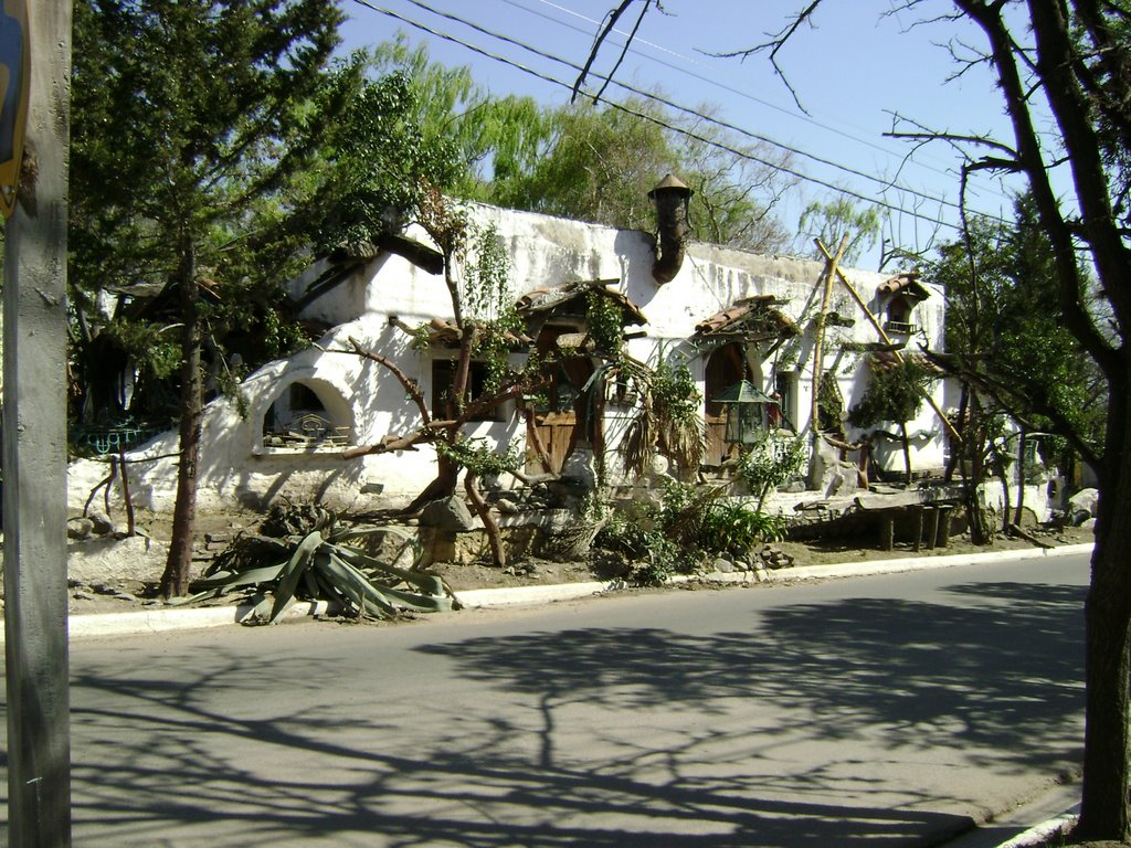 Casa del Arbol by villagarciano