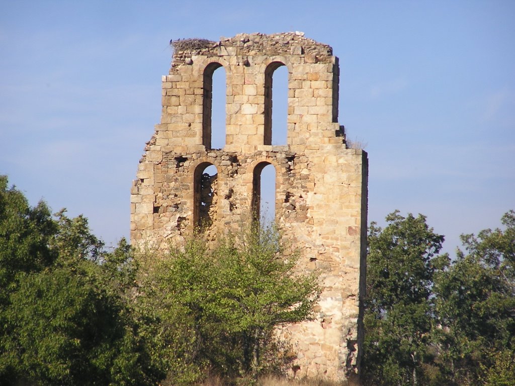 Ruinas de Santo Domingo - Piñuecar by MiguelGS