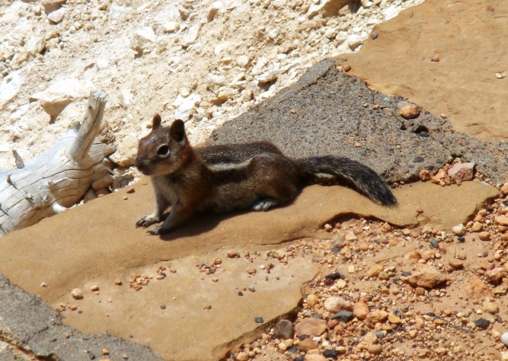 2008,Bryce canyon by PEWAFOTO