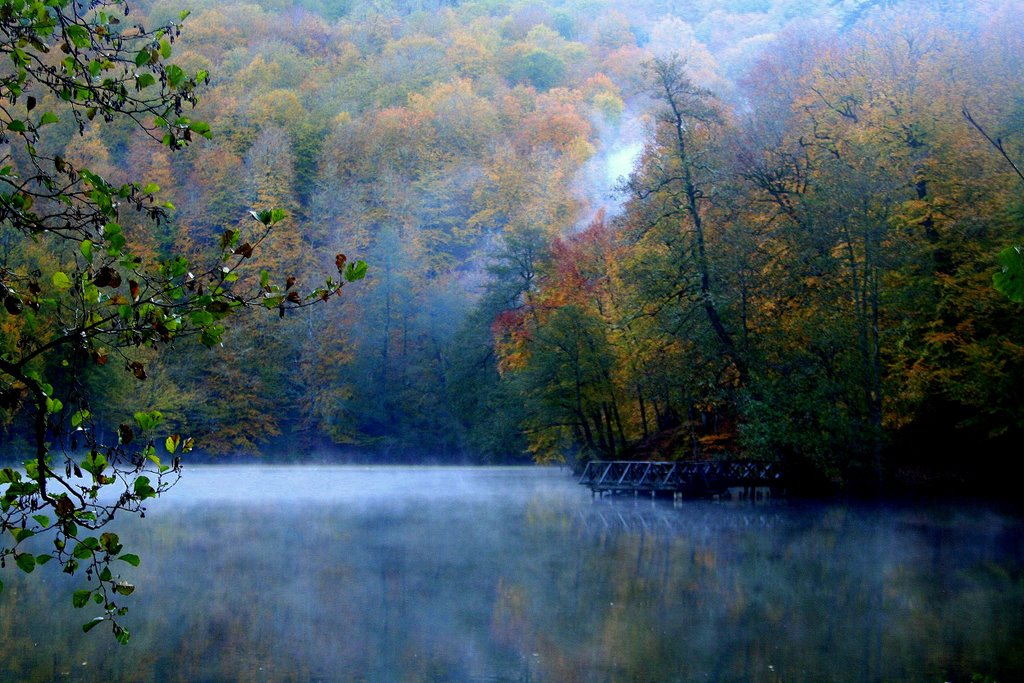 Büyükgöl,Yedigöller, Bolu by alirizabaykan