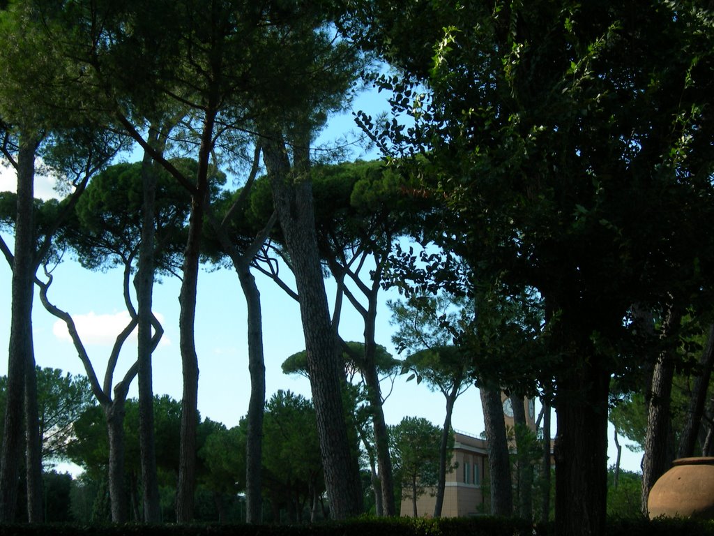 Degli alberi alla Villa Borghese by Walter Carrizo