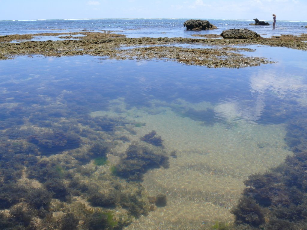 Praia do Forte - Piscinas Naturales - BA - BR by gersanta