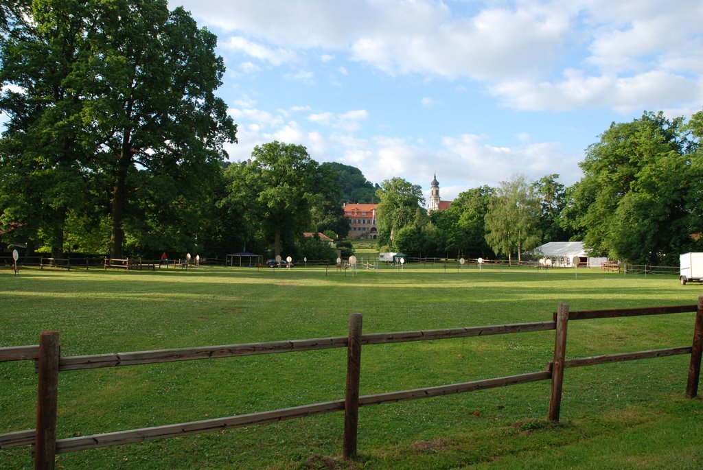 Morgen früh im Park by Revesz Daniel