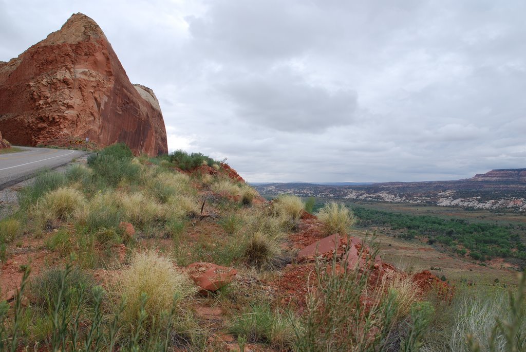 Comb Ridge by musselshell