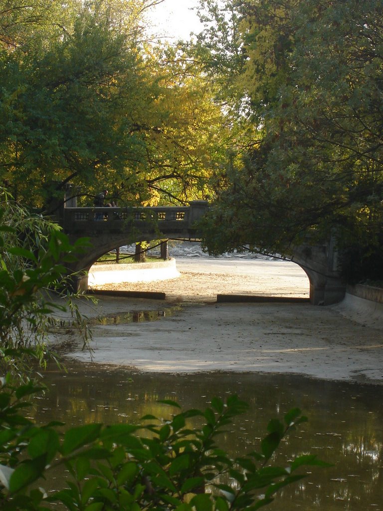 PUENTE EN CISMIGIU by FOTO ALFOR Puente Na…