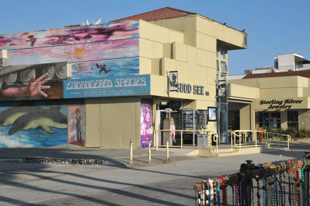 Venice Boardwalk - late afternoon - September 2008 by Veniceboardwalkpix