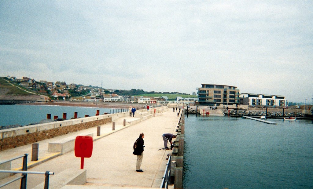 West Bay Harbour by John Saxon Jones