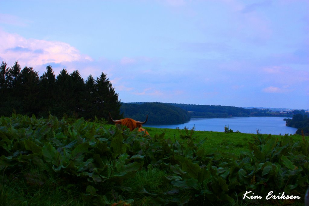 View over Stilling Lake from Bakkely restplace..2008 by -HARMONSA-