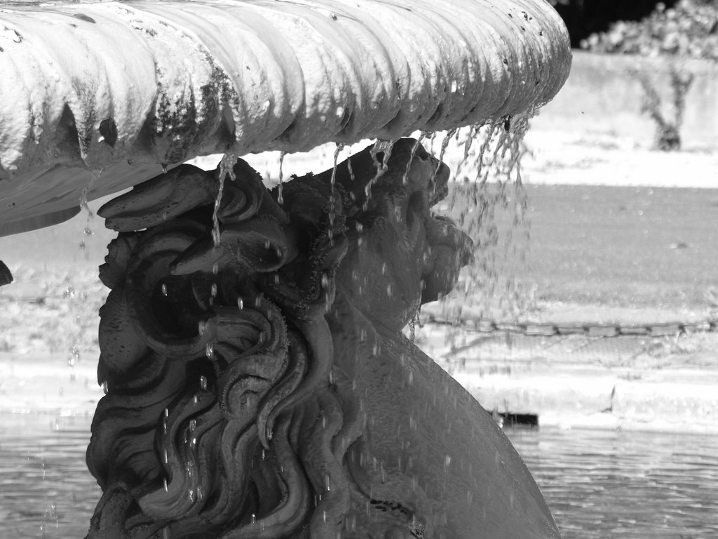 Villa Borghese: particolare Fontana dei Cavalli Marini by giuseppe.gaudio