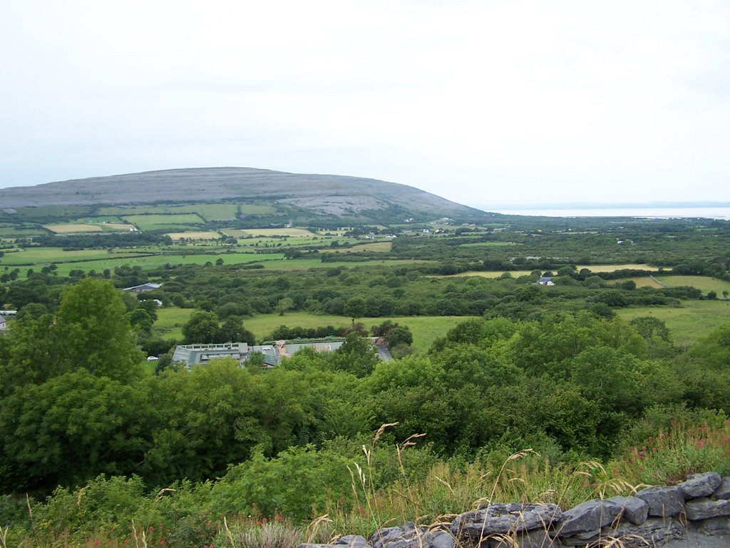 Top view of the Burren Bird of Prey Centre by Color Bright