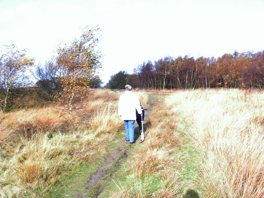 Heideweg zum Aussichtsturm by 46-Bochum-30