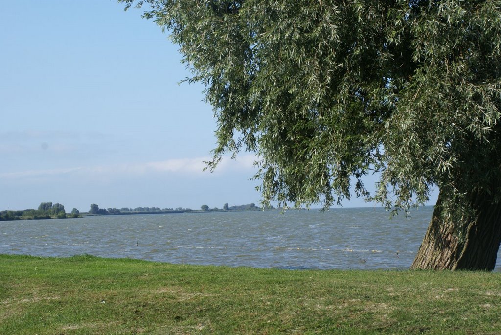 Enkhuizen - Enkhuizerzand - Kooizandweg - View North by txllxt