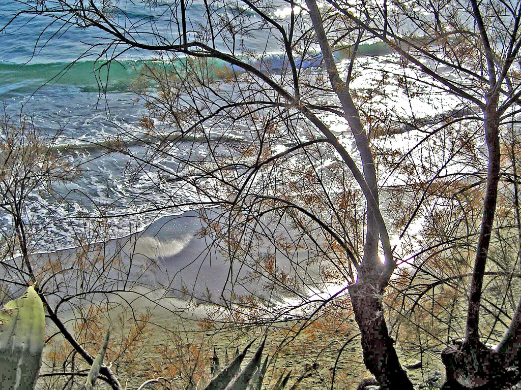 San Lorenzo Al Mare Imperia Passeggiata lungomare by esseil