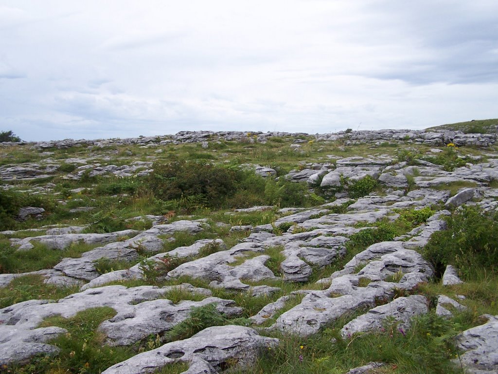 Burren landscape by Color Bright