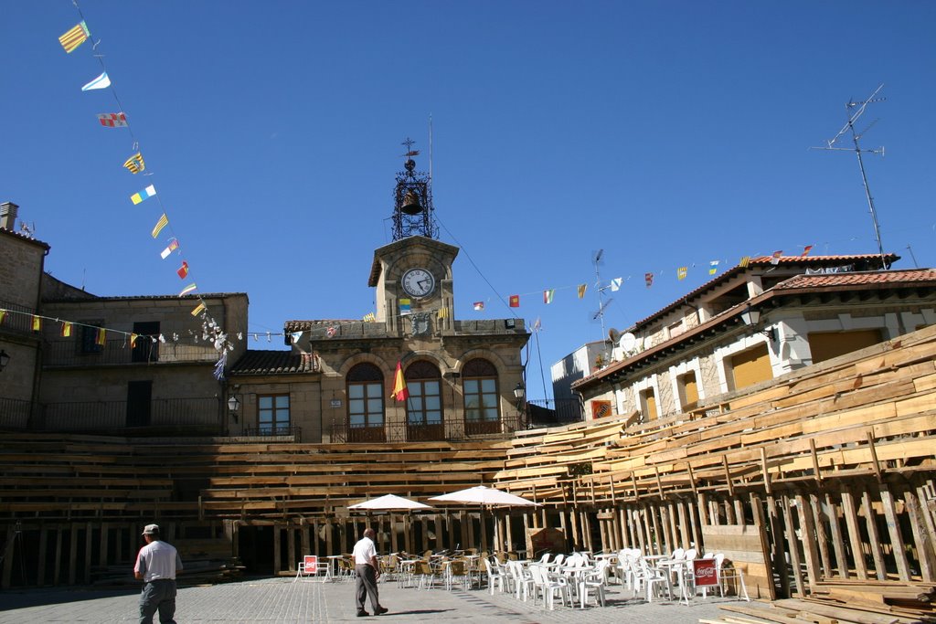 Plaza Mayor de toros by enuñez