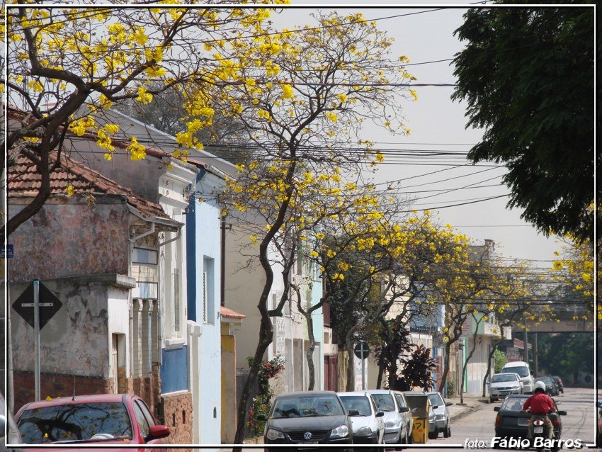 Jundiaí - Foto: Fábio Barros (www.cidade3d.uniblog.com.br) by Fábio Barros  [-⓪-]