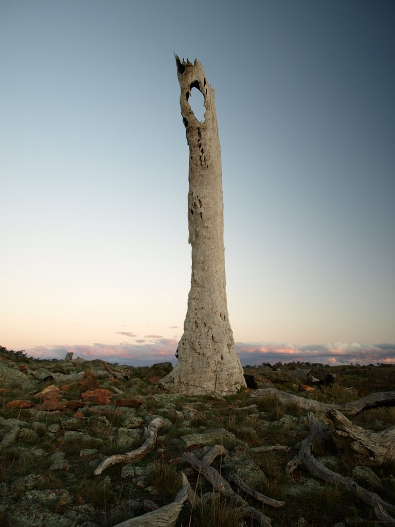 Burnt Stump Hill, Goorooyaroo Nature Reserve, ACT, Australia by Mark Jekabsons