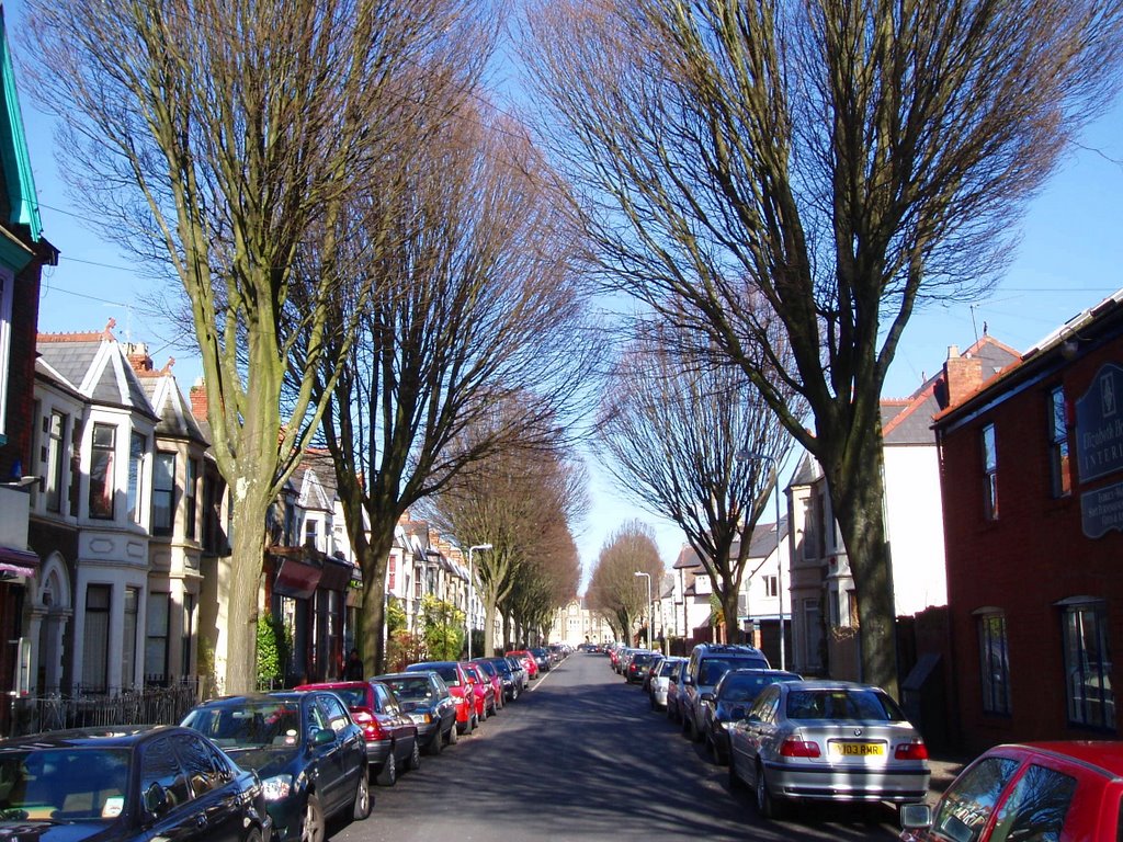 Pontcanna St - Trees by willambrose