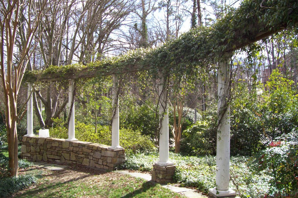 Colonnade draped with Gelsemium sempervirens by imp336