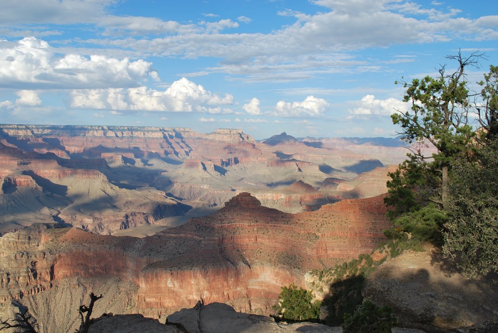 West Rim View by Brad19