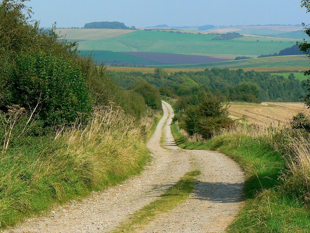 Footpath to Temple Bottom, near Manton (east) by Brian B16