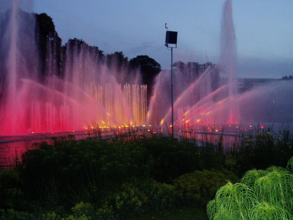 Wasserspiele, Planten un Bloomen by börnerin