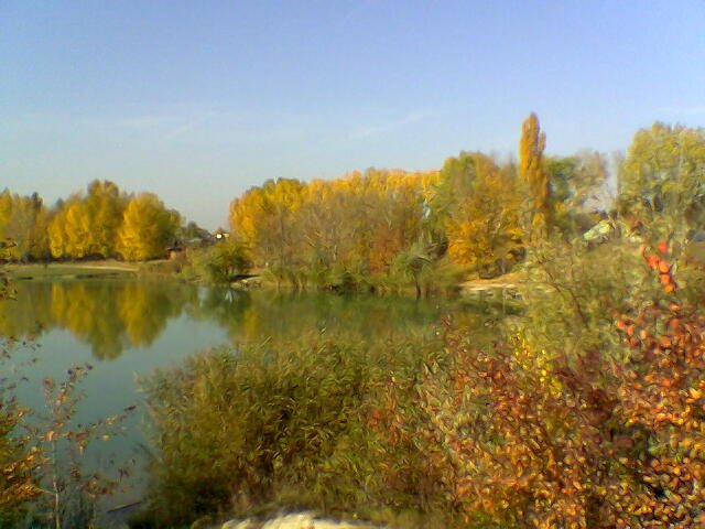 Hirschstettner Teich - Herbststimmung by Kurt Schanz