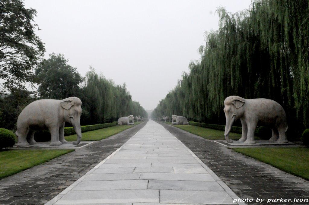 Ming dynasty Imperial Mausoleum——Chang ling. tomb Ming cheng zu（明十三陵——长陵，明成祖文皇帝永乐之陵，神道石兽） by parker.leon