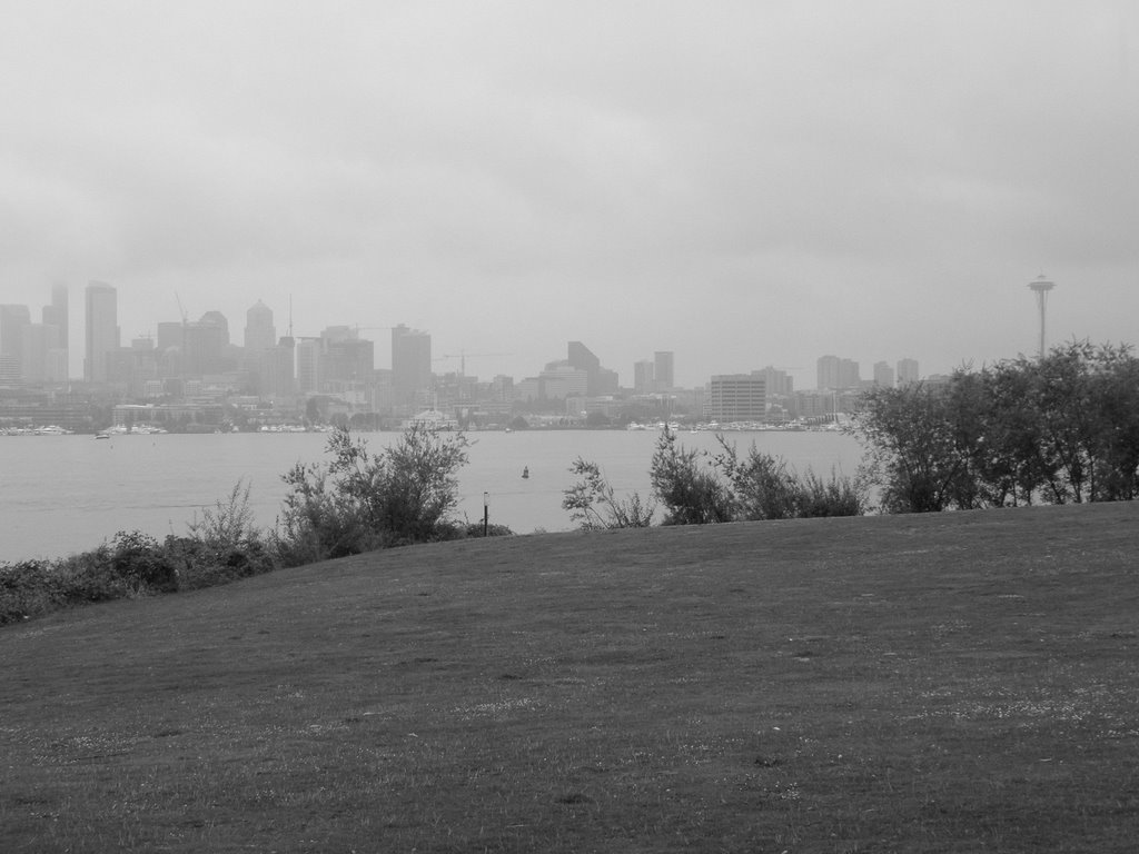 Downtown Seattle from Gas Works Park by C. Harmon