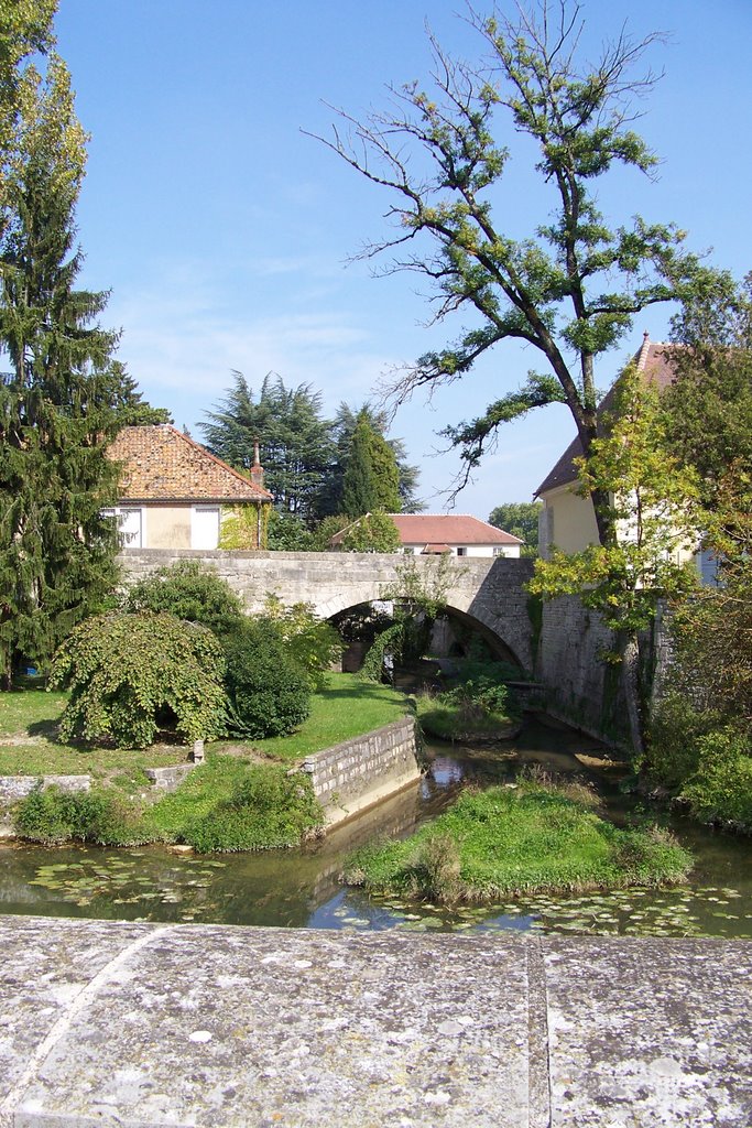 Le petit pont de pierres by cococ des champs