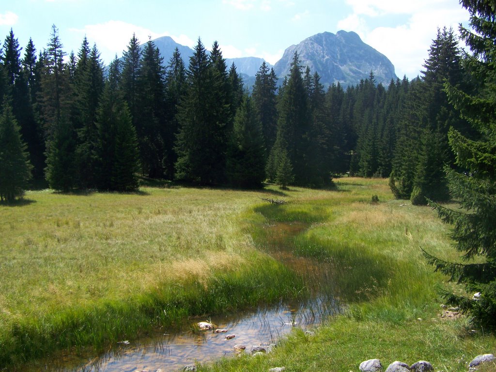 CRNO JEZERO by Zdravko Delić