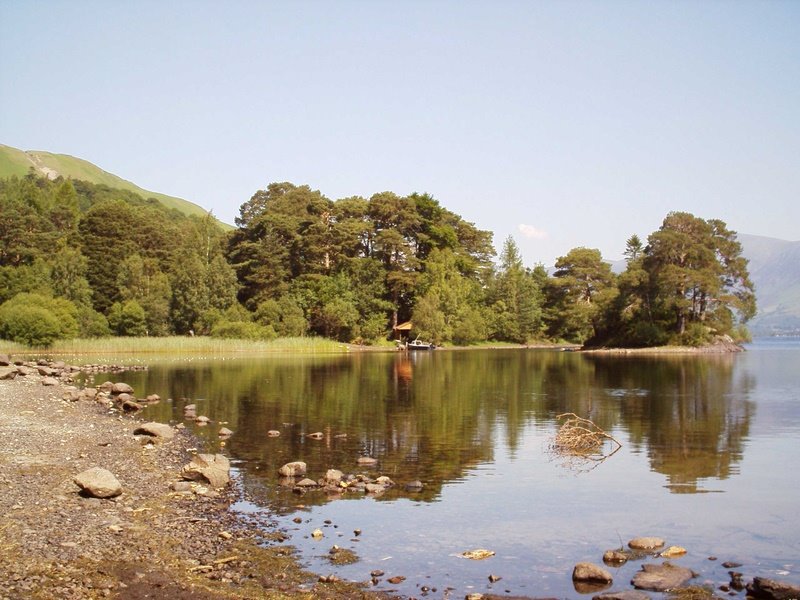 Above Derwent, UK by Rosemary Harle