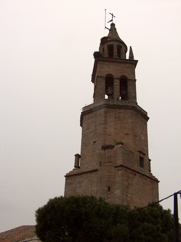 Torre de la Iglesia del Salvador by Daniel Fernández