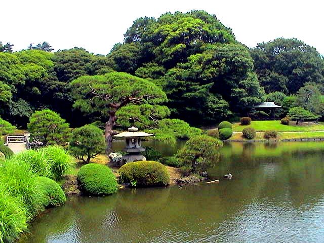 Koi Ponds by Steve du Bruyn