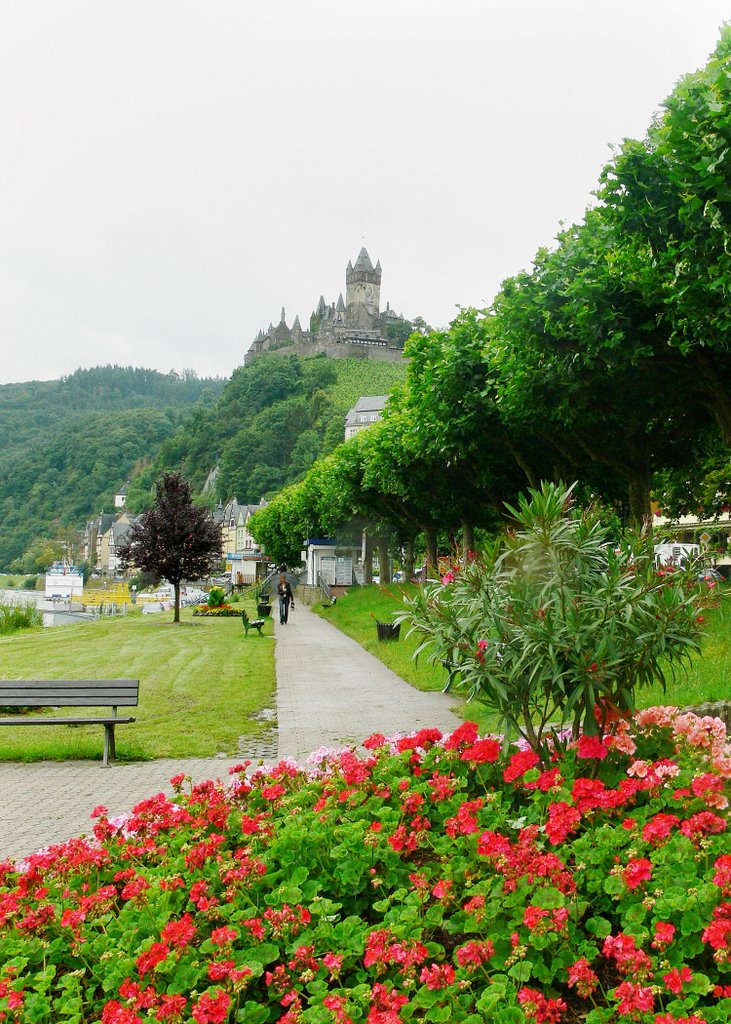 Cochem, Mosel, Germany by fkls