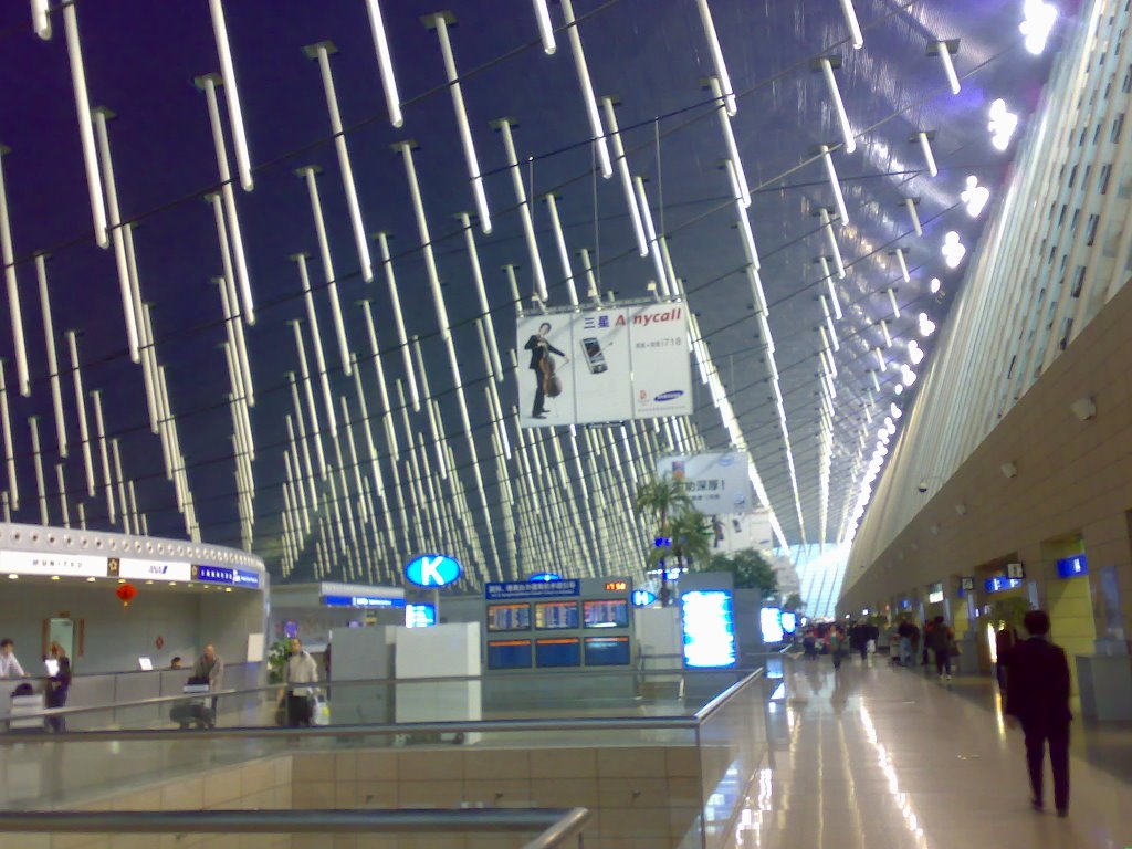 Wonderfully designed Pudong Airport by satnam singh