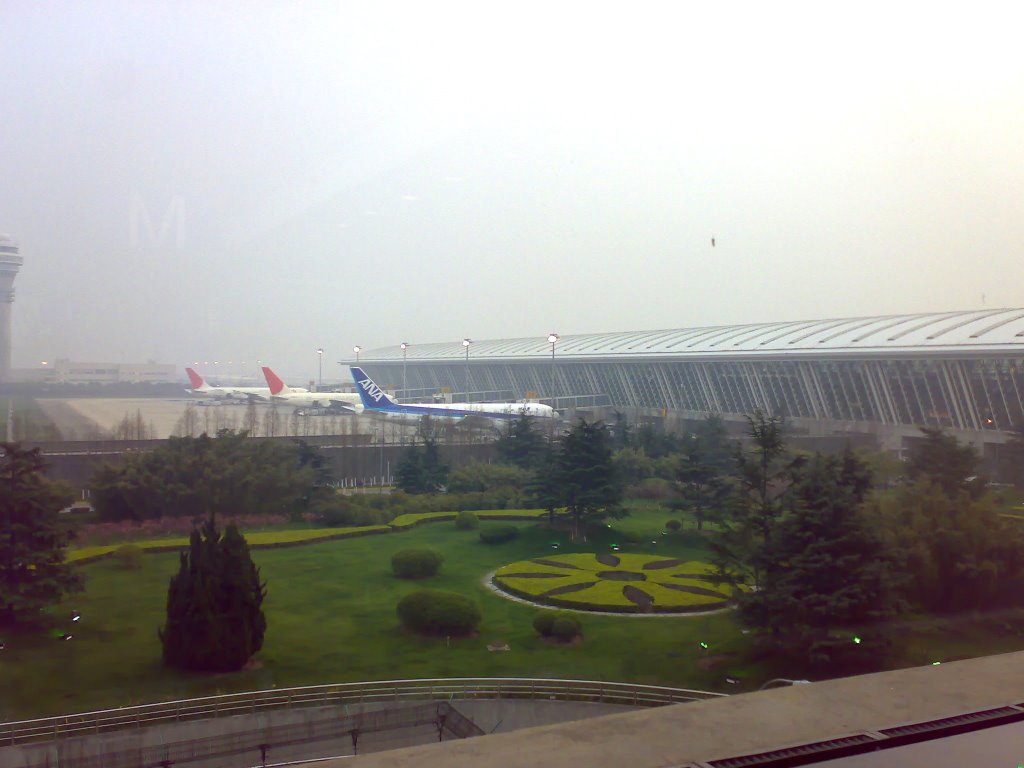 Air crafts parked at Pudong Airport by satnam singh