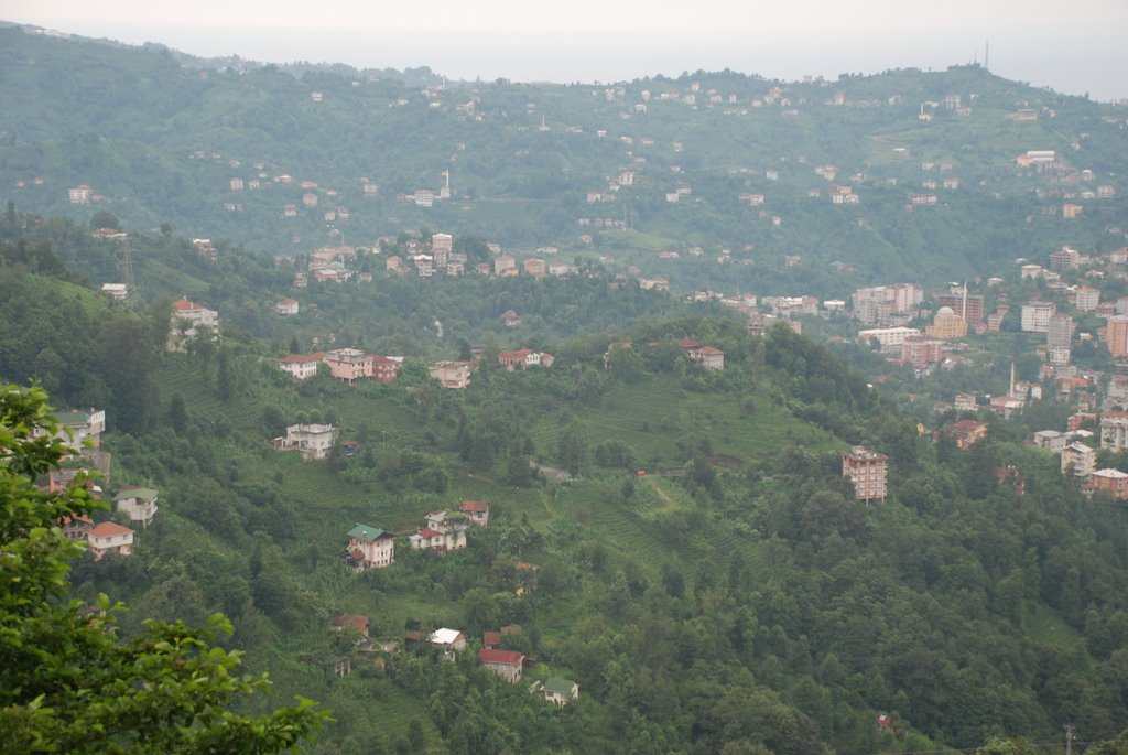 Rize Sırtları by Figen Çakmakoğlu